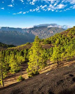 La Palma